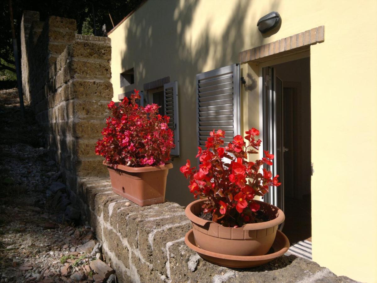 Il Parco Farm stay Ancona