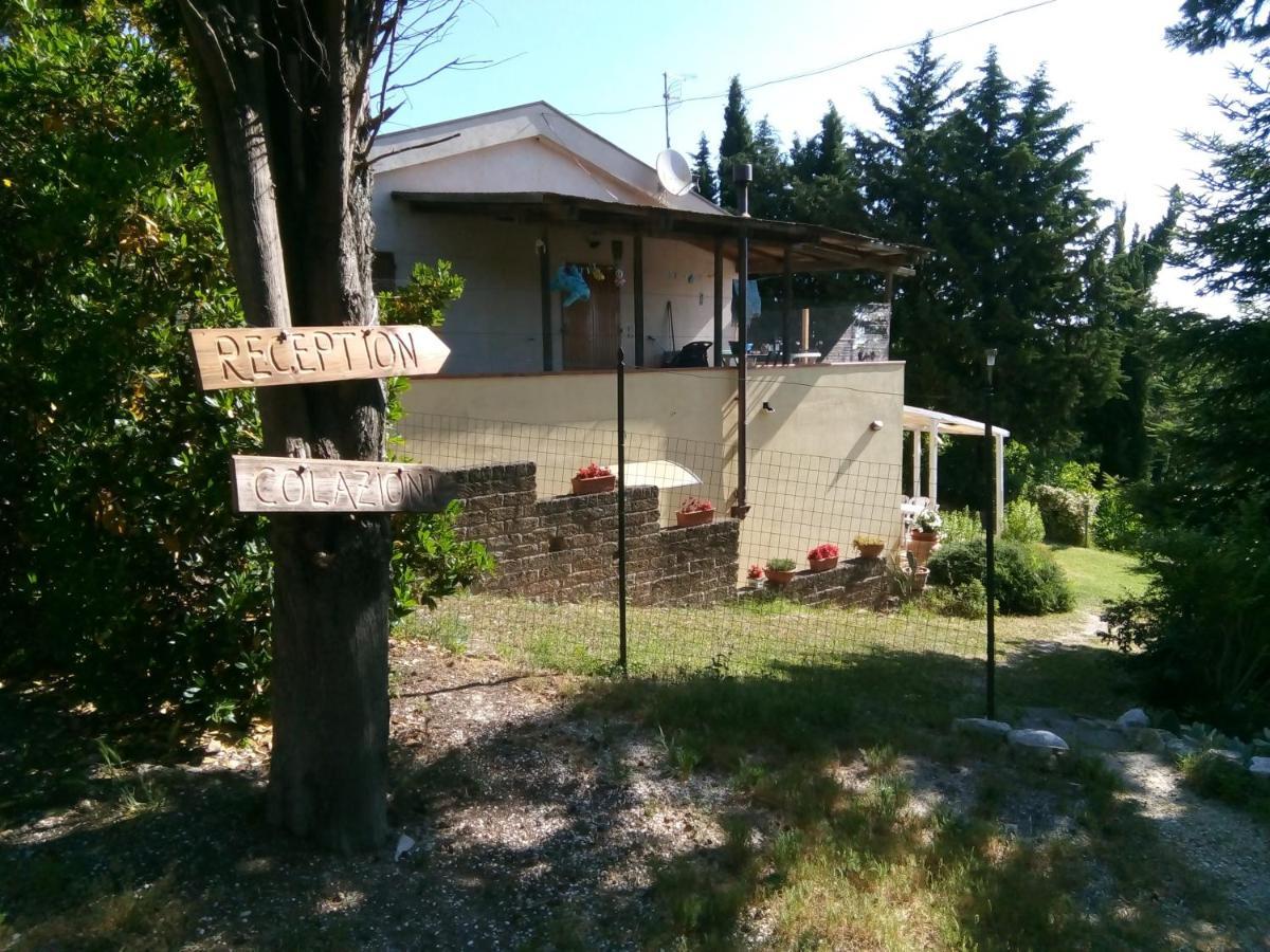 Il Parco *
