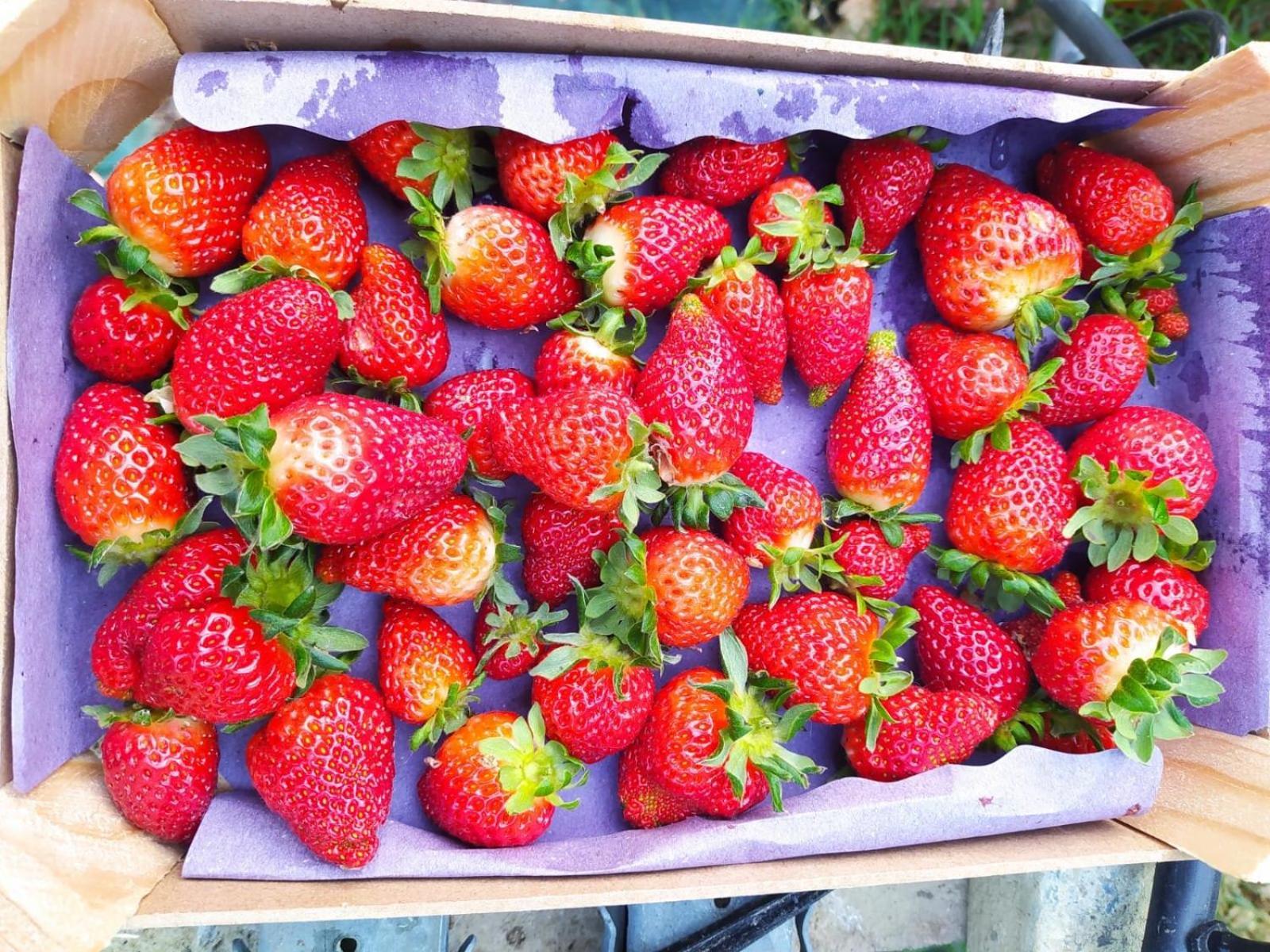 Farm stay Il Parco *